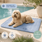 The Cool Spot (Cooling Mat)