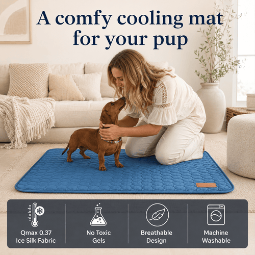 The Cool Spot (Cooling Mat)