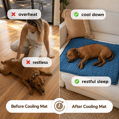 The Cool Spot (Cooling Mat)